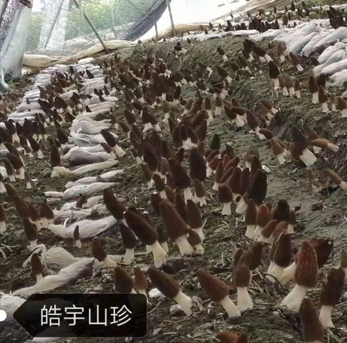 &#66;&#20307;&#32946;&#65288;&#66;&#83;&#112;&#111;&#114;&#116;&#115;&#65289;&#23448;&#26041;&#32593;&#31449;