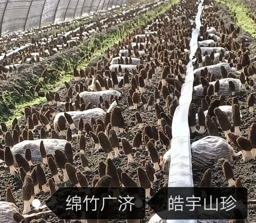 &#66;&#20307;&#32946;&#65288;&#66;&#83;&#112;&#111;&#114;&#116;&#115;&#65289;&#23448;&#26041;&#32593;&#31449;