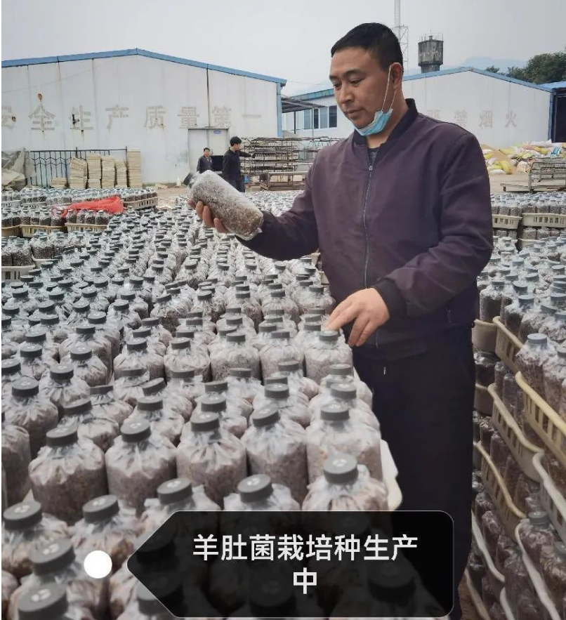 &#66;&#20307;&#32946;&#65288;&#66;&#83;&#112;&#111;&#114;&#116;&#115;&#65289;&#23448;&#26041;&#32593;&#31449;