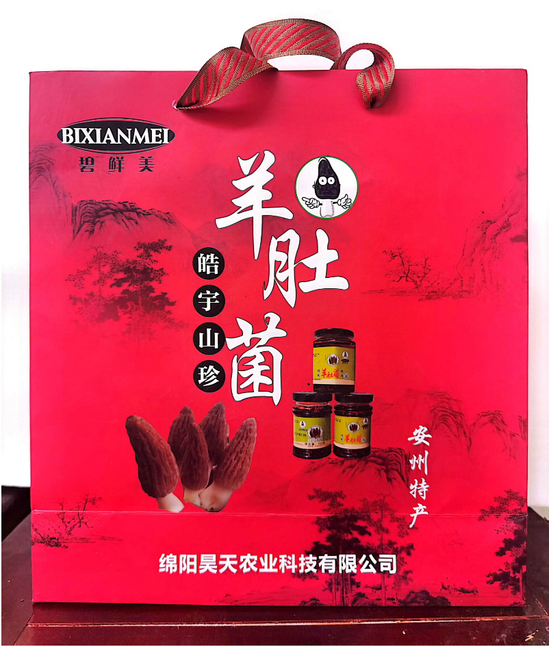&#66;&#20307;&#32946;&#65288;&#66;&#83;&#112;&#111;&#114;&#116;&#115;&#65289;&#23448;&#26041;&#32593;&#31449;
